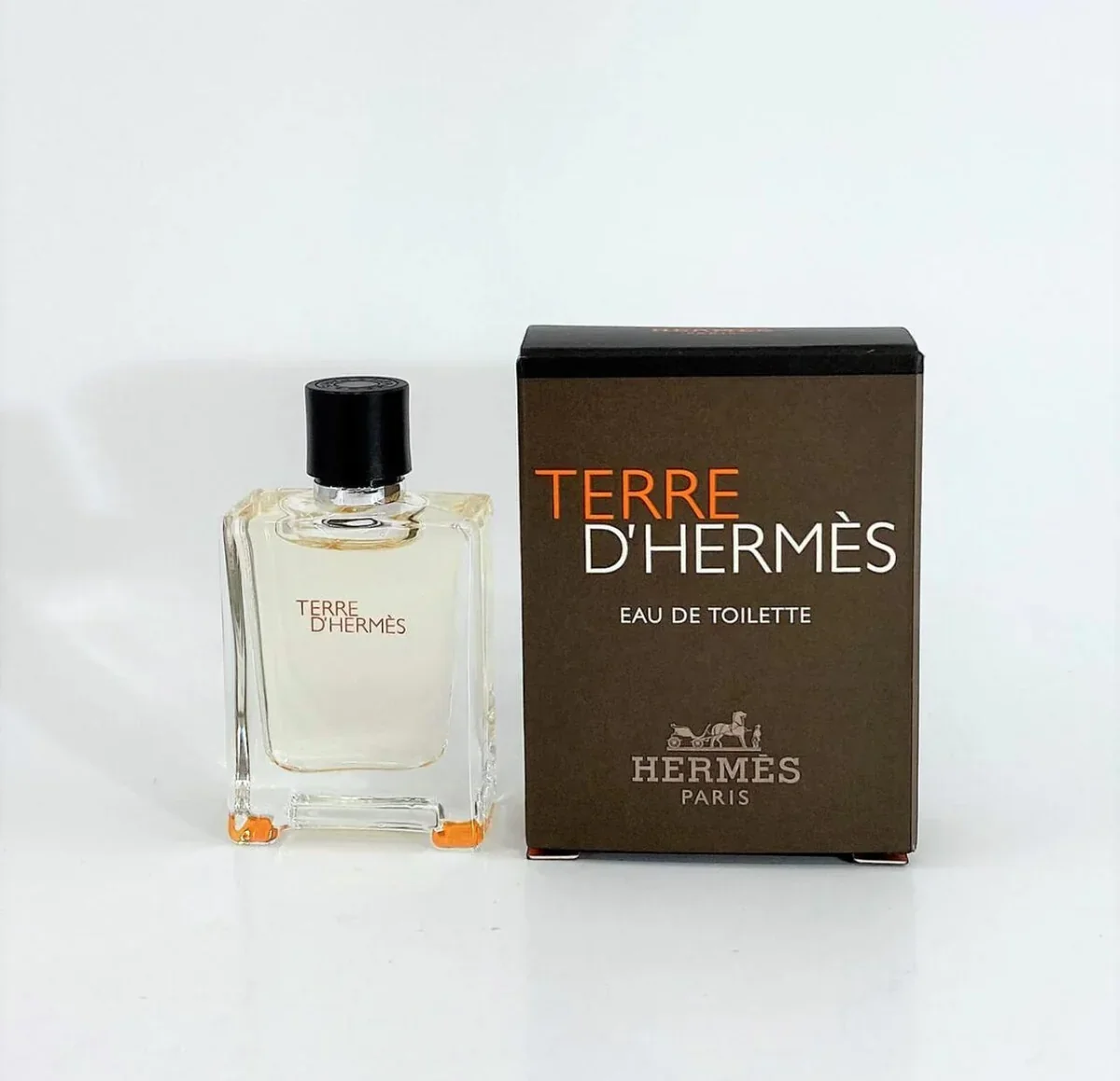 Hermès Terre D’Hermès Eau De Toilette Pour Homme